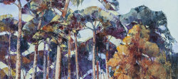 Tree Study, Blackmoor Forest, Hampshire | 2017 | Oil on Canvas | 70 x 67 cm